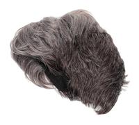 Anneome Men’s Gradient Grey Short Straight Cosplay Wig with Side Parting, Heat Resistant Synthetic Fiber, Party and Halloween Costume Hairpiece for Men