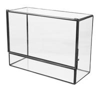 Anneome Mini Geometric Glass Terrarium Container 145x80x195mm Handmade Small Desktop Moss Landscape Display Holder Ecological Plant Case for Table Decoration