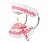 Annhua 6 Times Dental Teeth Model with Removable Tongue, 32 Teeth Giant Dental Demonstration Model with a Toothbrush, Angle-adjustable Denture Models for Teaching and Oral Care