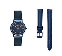 Annie Apple Metanoia Rose Gold/Blue Petite Interchangeable