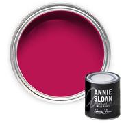 Annie Sloan Wall Paint 120Ml Capri Pink