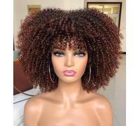 ANNISOUL Curly Afro Wigs for Black Women Afro Kinky Curly Wig with Bangs No Glue,Full and Fluffy Like a Bomb for Daily and Work Dark Brown