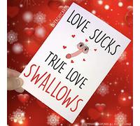Anniversary Cards True Love Swallows Cards for Wife Girlfriend Card Gay Cards Novelty Card Funny Cards Birthday Cards Valentines Cards PC187