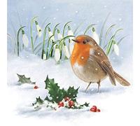 Anniversary House Tiflair Luxury Christmas Napkins, Robin Holly & Snowdrops Design, Thick and Strong Paper Lunch Napkins 3 ply, Multi-Coloured PJ310336