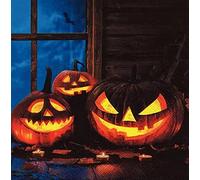 Anniversary House Tiflair Luxury Halloween Napkins, Halloween Pumpkin Design, Thick and Strong Paper Lunch Napkins 3 ply, Multi-Coloured PJ342044