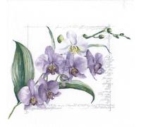 Anniversary House Tiflair Purple Elegant Orchid Design Luxury Napkins 3ply Pack of 20, PJ367837