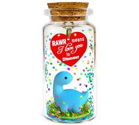Anniversary Rawr Means I Love You in Dinosaur Valentines Gift, Romantic Message in a Bottle, Funny Birthday Christmas Presents Cute Dino Gifts for Her Him Girlfriend Boyfriend Wife Husband Couples
