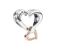 Annmors 925 Sterling Silver Charms fit Bracelets Necklaces Family is Love Dangle Beads with 5A Cubic Zirconia Christmas Valentine Mother's Day Gift Charms for Women Girls
