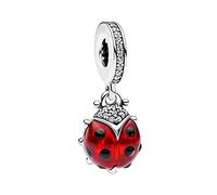 Annmors 925 Sterling Silver Charms fit Bracelets Necklaces Red Ladybird Dangle Beads with 5A Cubic Zirconia Christmas Valentine Mother's Day Gift Charms for Women Girls