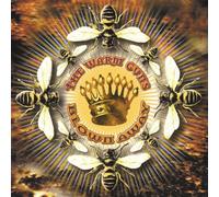 Anno 1630 by Lorenzo Ghielmi, Enrico Onofri, Margret KEll (2003-08-05)