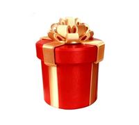 Annoying Nested Screw Gift Box, Annoying Gift Box, Prank Gifts Boxes, Standard Money Present Boxes, Reusable Prank Gifts Packaging for Birthday, Christmas & Fun Party Game (01)