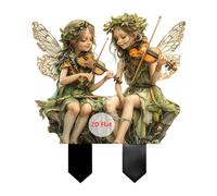 ANNUOZE Musical Fairy Garden Stake, 2D Flat Acrylic Magic Fairies Decoration, Fairy Garden Accessories for Indoor Outdoor Patio Yard Lawn Flower Pot Plants (Duo Violin Fairy)