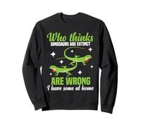 Anole Lizard Lover | Green Anole Reptile Keeper Nature Fan Sweatshirt