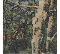 Anomoanon - Asleep Many Years Inthe Wood A