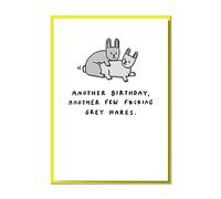 Another Birthday, Another Few F*cking Grey Hares. Funny Birthday Card