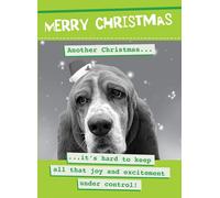 Another Christmas Joy & Excitement Under Control - Christmas Card