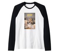 Another Meeting Seal Office Worker Humor Raglan Baseball Tee