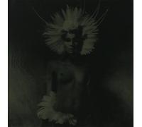 Another Night Out - Unkle - Where Did The Night Fall - Another Night Out (Limited Edition Boxset)