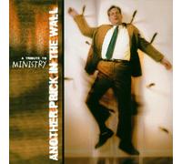 Another Prick in the Wall - Another Prick In The Wall: A TRIBUTE TO MYSTERY;VOLUME 2