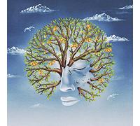 Another Sky - Life Was Coming In Through The Blinds [VINYL]