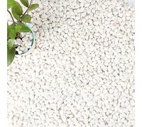 Anothera 18-lb Bulk Bag White Pebbles 1/2" Size Aquarium Gravel Outdoor Garden Paving Plant Decorative Stones…