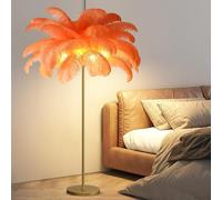 ANram Modern Feather Floor Lamp, Natural Ostrich Feather Floor Lamp with Gold Finish, Modern Atmosphere Floor Lamps for Living Room,Home Decoration