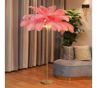 ANram Modern Feather Floor Lamp, Natural Ostrich Feather Floor Lamp with Gold Finish, Modern Atmosphere Floor Lamps for Living Room,Home Decoration
