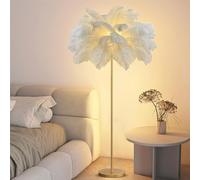 ANram Modern Feather Floor Lamp, Natural Ostrich Feather Floor Lamp with Gold Finish, Modern Atmosphere Floor Lamps for Living Room,Home Decoration