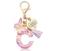 Anruzon Initial Letter Keychain, Women Tassel Butterfly Pendant Pink Purple Cute Car Keyrin, Purple and Gold Resin Alphabet Key Ring for Wallet, Personalised Keyring Bag