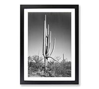 Ansel Adams Cactus in Arizona Framed Wall Art Print A2 Black