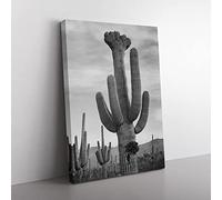 Ansel Adams Cactus In Saguaro 2 In Arizona Vintage Photograph Canvas Wall Art Print Ready to Hang, Framed Picture for Living Room Bedroom Home Office Décor, 60x40 cm (24x16 Inch)
