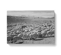 Ansel Adams Flock in Owens Valley, 1941 Photograph Vintage Canvas Wall Art Print Ready to Hang, Framed Picture for Living Room Bedroom Home Office Décor, 50x35 cm (20x14 Inch)