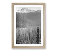 Ansel Adams Glacier National Park Burned Area Framed Print | A2 Oak Framed Wall Art | Ready to Hang | Modern Landscape Picture | Living Room Bedroom Lounge Office