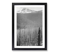 Ansel Adams Glacier National Park Burned Area Framed Print | A2 Oak Framed Wall Art | Ready to Hang | Modern Landscape Picture | Living Room Bedroom Lounge Office