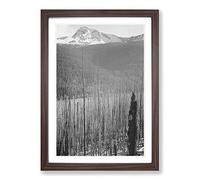 Ansel Adams Glacier National Park Burned Area Framed Print | A2 Walnut Framed Wall Art | Ready to Hang | Modern Landscape Picture | Living Room Bedroom Lounge Office