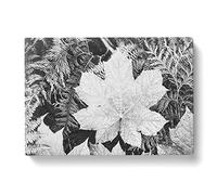 Ansel Adams Leaves Photograph Vintage Canvas Wall Art Print Ready to Hang, Framed Picture for Living Room Bedroom Home Office Décor, 76x50 cm (30x20 Inch)