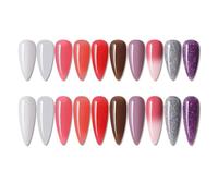 Anself Nail Gel Set 10 Colors Nail Gel Base Coat & Top Coat 6 Colors Nail Powder False Nail Tips Nail Pusher Nail Pen Nail File Rhinestones Nail BeautySalon Nail Tool Kit
