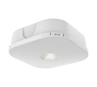 Ansell AFLP/1/W/3NM/DA Falcon Pro DALI Surface Mounted Downlight - White