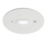 Ansell ARALED/ER/3NM/ST Raven 6500K LED 3NM D/L,Escape Route S/T