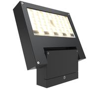 Ansell ASPPLED/SYM/CW Spirit LED Symmetrical Projector CW