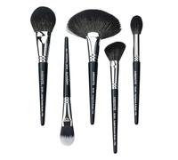 Anshute 5-Piece Professional Natural Goat Hair Makeup Brush Set - Face Brushes for Powder, Blush, Contour, Highlighting & Foundation. Super Soft Bristles, Variety of Brushes. Labled Brush Handle