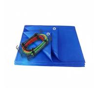 ANSIO Outdoor Essentials Bundle - 12 Assorted Heavy-Duty Bungee Cords with Hooks + 3x4m Blue Tarpaulin Sheet (70 GSM, Waterproof, UV Resistant, Multi-Purpose Camping & Garden Cover)