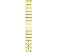 ANSIO Ruler with Non Slip Print, Acrylic, Double Colour Grid Lines, Ideal for Quilt, Patchwork, Measuring & Cutting, 2.5 inch Wide x 18 inch Long - Transparent