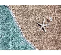ANSIWEIGO Beach Starfish Latch Hook Rug Kit for Adults DIY Carpet Cushion with Printed Canvas Crochet Yarn Craft Hook and Latch Tapestry for Home Decor Pets Warm Pads 20.47x14.96 in