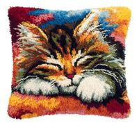 ANSIWEIGO Beginner-Friendly Latch Hook Cushion Kit,Quick & Easy DIY Yarn Craft for Adults & Kids,Step-by-Step Pillow Making Set,17x17 in,Tabby Cat