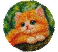 ANSIWEIGO DIY Latch Hook Rug Kit Cute Persian Cat Crochet Yarn Craft Hook and Latch Carpet Easy for Beginners Handmade Mat for Home Decoration 20x20inch-9