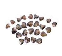 anso 25pcs Natural Freshwater Cultured Pearl Oyster with Real Pearls 7-8mm Pearl Individually Vacuum Pack