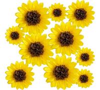 ANSOMO Sunflower Tissue Paper Pom Poms Décor Yellow Flowers Wall Hanging Party Decorations Birthday Bridal Baby Shower Wedding Classroom 12" 8" Pack of 10