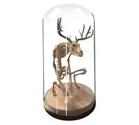 AnsonBoy Creepy Sika Deer Skeleton Curiosity Cabinet Horror Skeleton Statue With Glass Cover Gothic Horror Art Ornaments Collection Gift