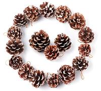 Anstore 30 Pine Cones 4 to 6 cm, Snow Pine Cones Christmas Decorations, Hanging Xmas Tree Decor, Natural Christmas Wreath Making Supplies, Mini Nordic Christmas Decorations with String for Gift Party